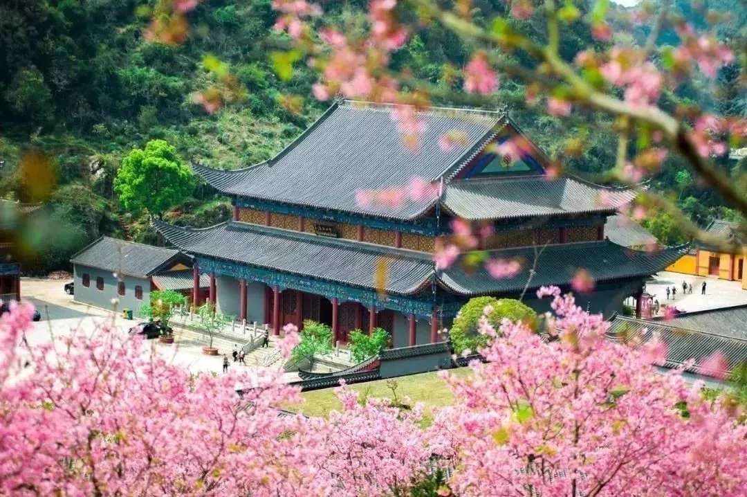 “寺”曾相識，禪音共鳴--公信網絡廣播解決方案